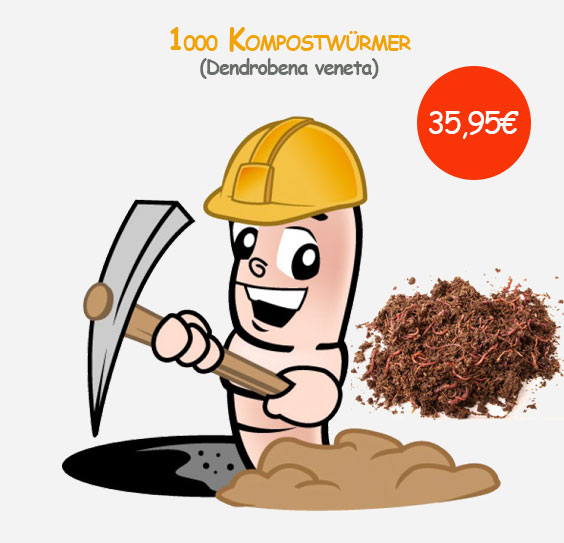 1000 Stück Kompostwürmer