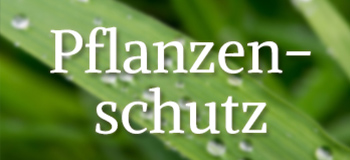 Pflanzenschutz Pflanzenschutz