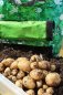 Preview: Kartoffelpflanztasche Ernte