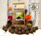 Preview: Seedballs Baukasten mit Wurmhumus