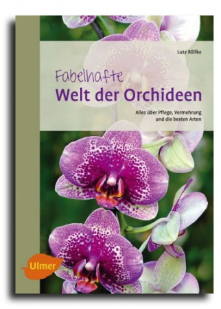 Welt-der-Orchideen