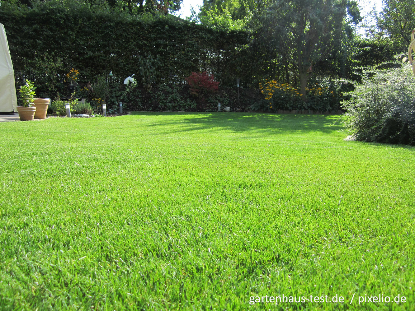 Iron Sulfate For Green Lawns Without