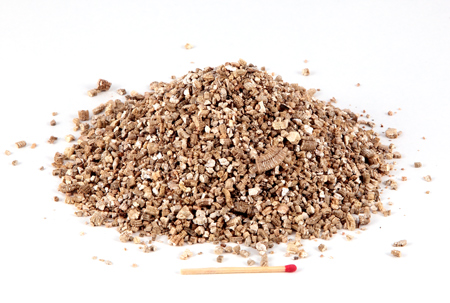 Vermiculit ist ein vielseitig einsetzbares Material für die Pflanzen- und  Reptilienzucht. - Wurmwelten.de - Fachhandel für Wurmkisten
