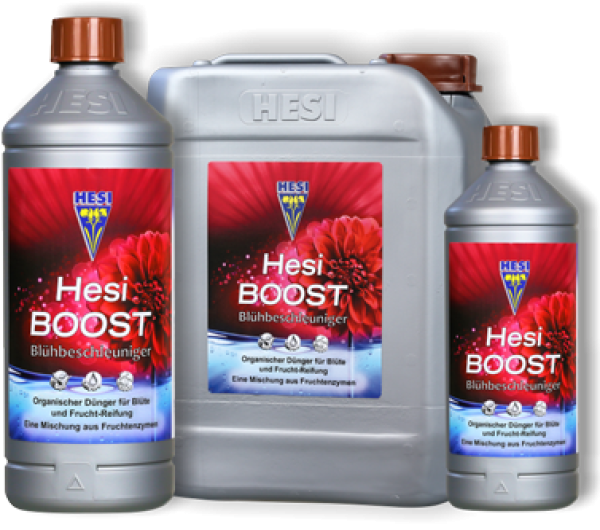 Hesi Boost Hesi Boost