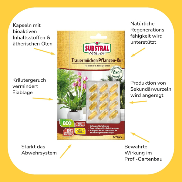 Substral Naturen Trauermückenfreie Pflanzen-Kur Substral Naturen Trauermückenfreie Pflanzen-Kur