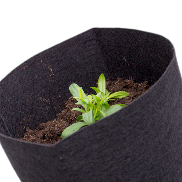 Dirtpot grau rund mit Pflanze