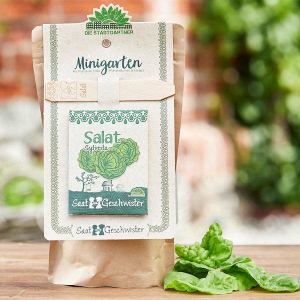 Anzuchtset Salat