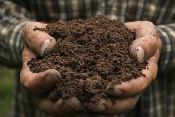 Living Soil