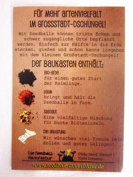 Seedball Baukasten "Bienenbankett"