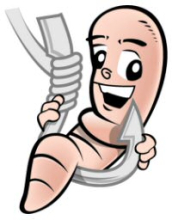 Angelköder Würmer (Dendrobaena veneta)