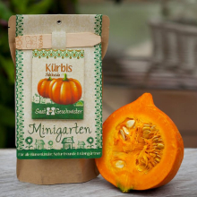 Anzuchtset Kürbis "Hokkaido"