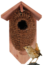 Nistkasten Zaunkönig